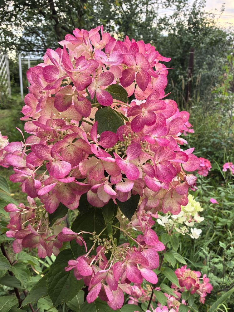 Photograph by Елена Качалина