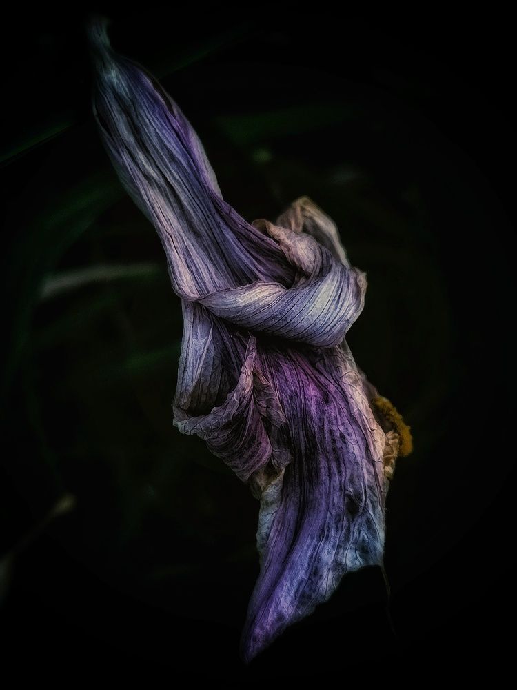 Photograph by Alexander Svetlov