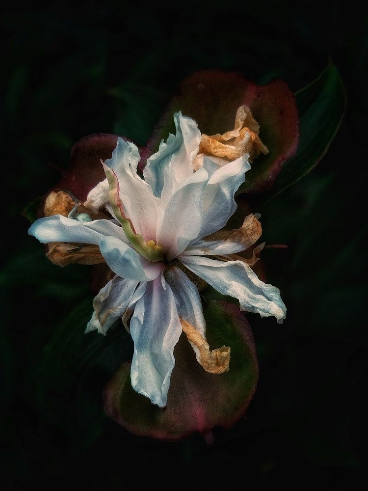 Photograph by Alexander Svetlov