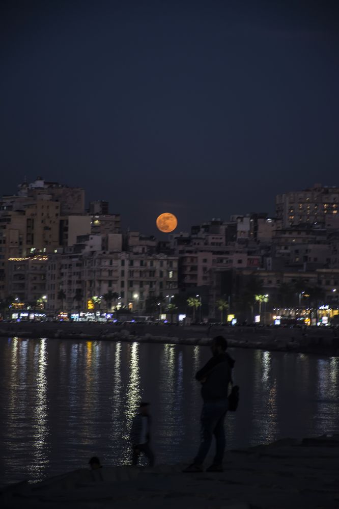 Photograph by mohamed ashraf