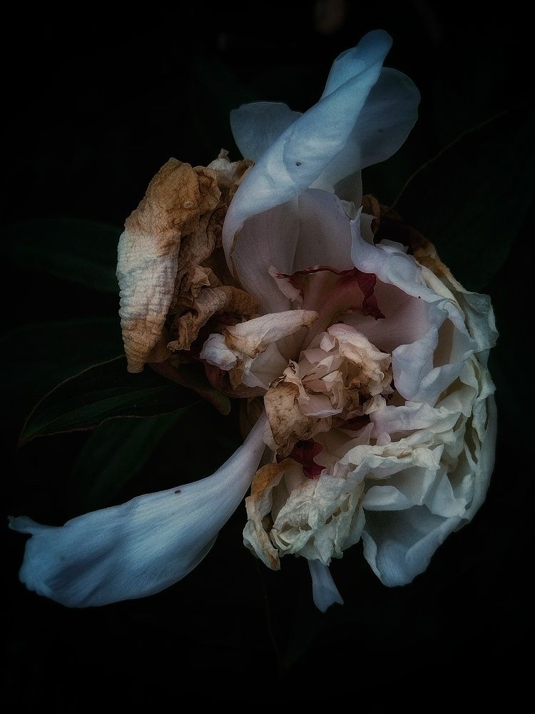 Photograph by Alexander Svetlov