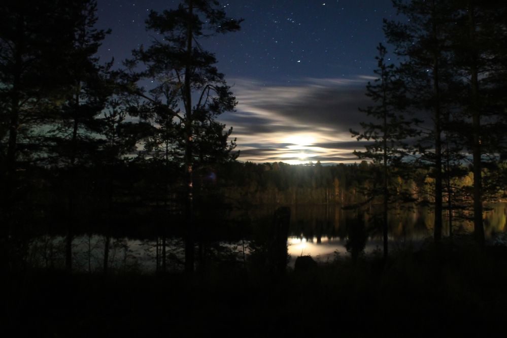 Photograph by Олег Филиппов