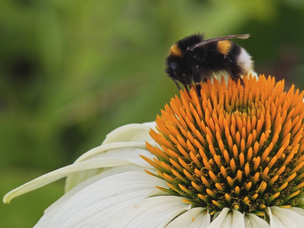 Фотография автора Наташа Данилова
