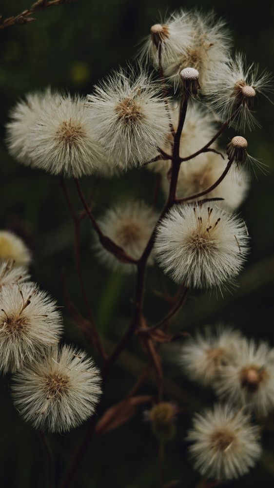 Фотография автора Наташа Данилова