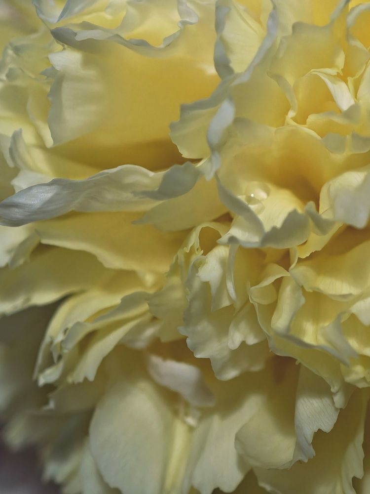 Фотография автора Наташа Данилова