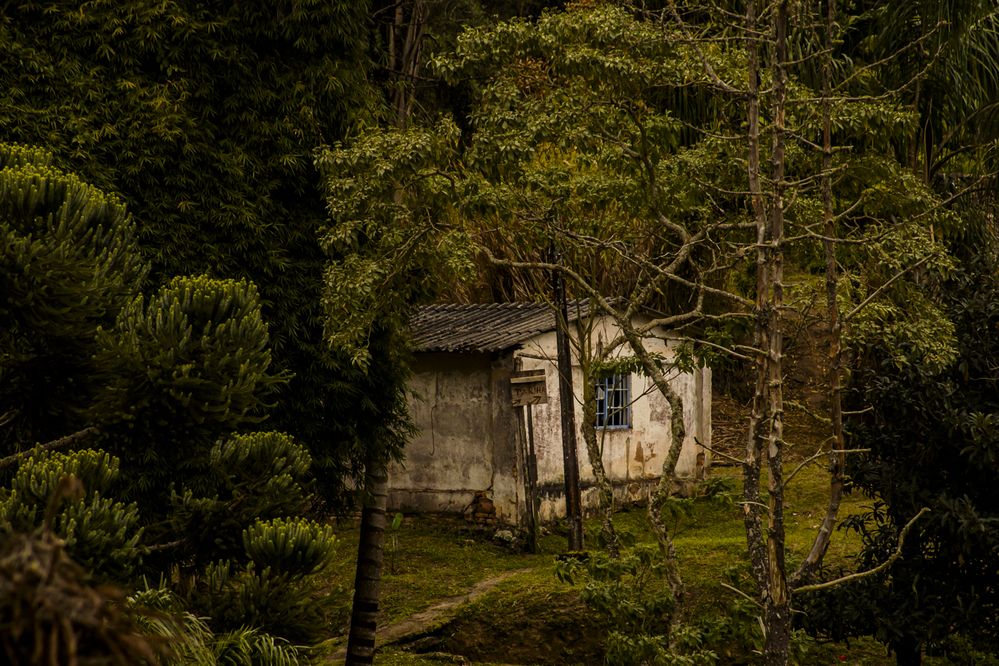Photograph by Leo Perdigão