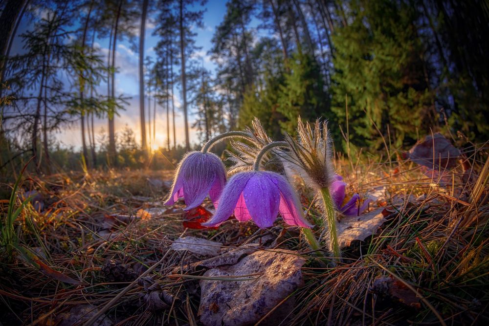 Photograph by Марина Мурашова