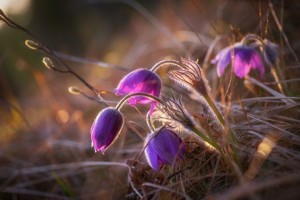 Photograph by Марина Мурашова