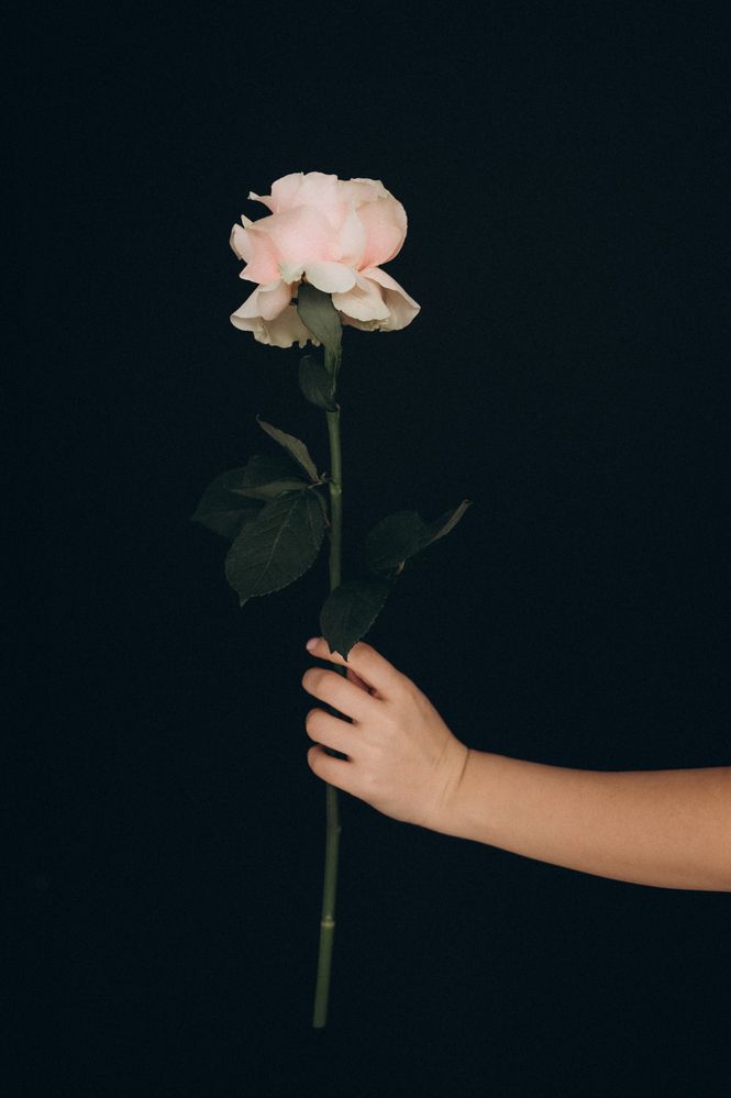 Фотография автора Дарья Дреко