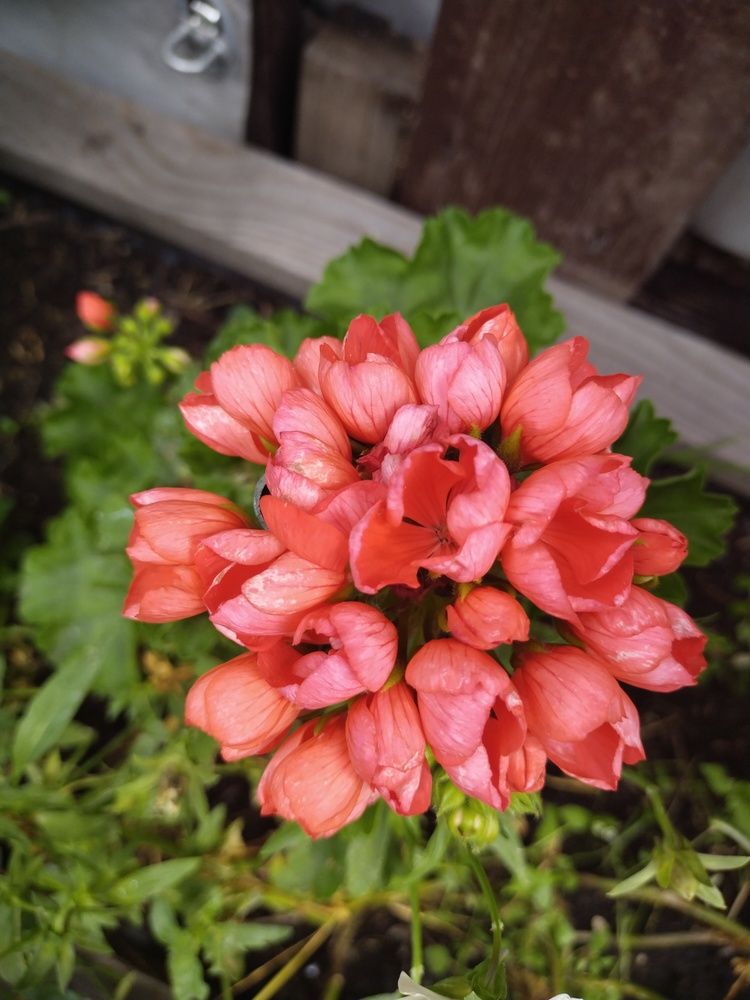 Фотография автора Мария Клеба