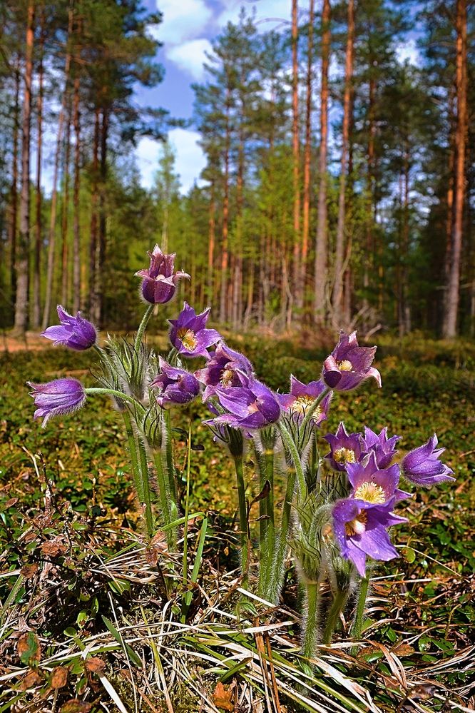 Photograph by Москалев Андрей