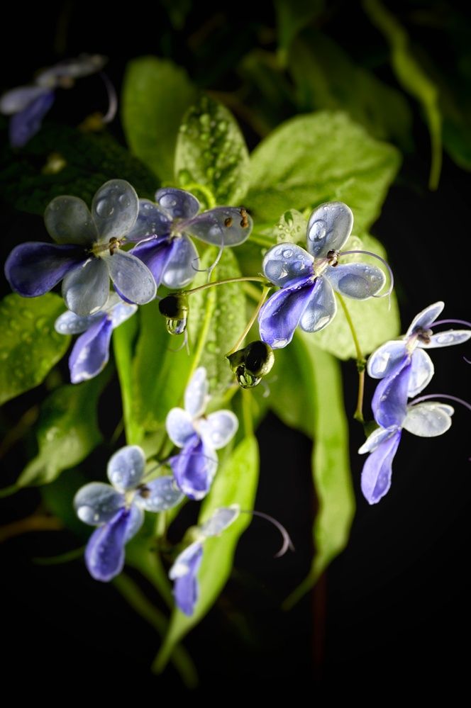 Фотография автора Оксана Шенина