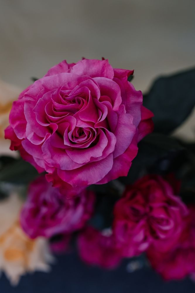 Photograph by Ольга Денисёнок