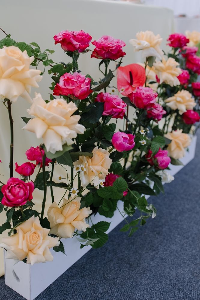 Photograph by Ольга Денисёнок