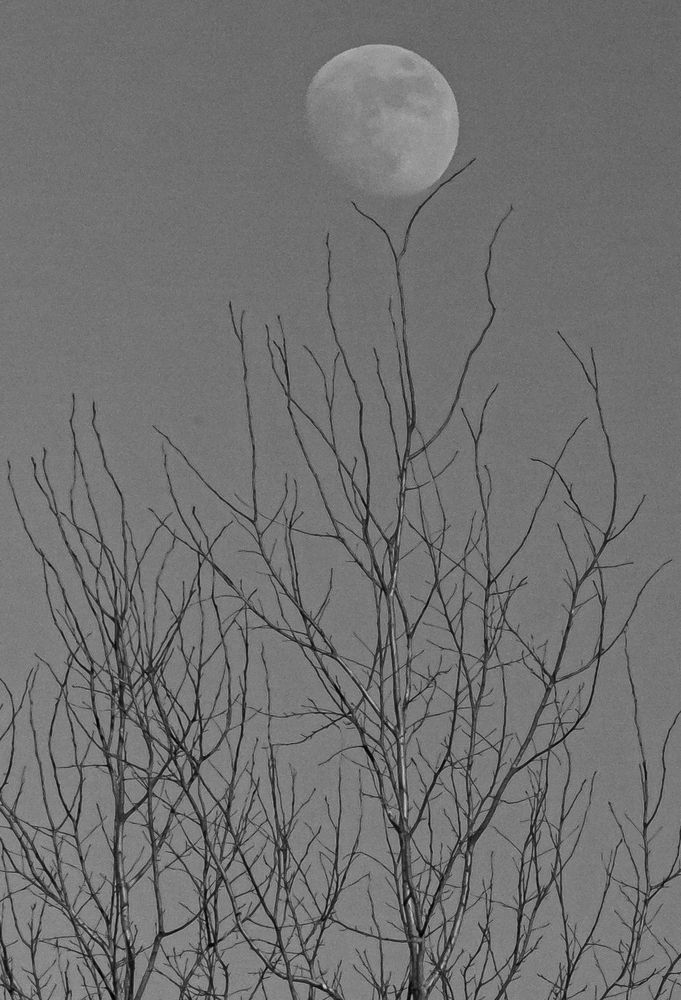 Photograph by Кокорин Алексей