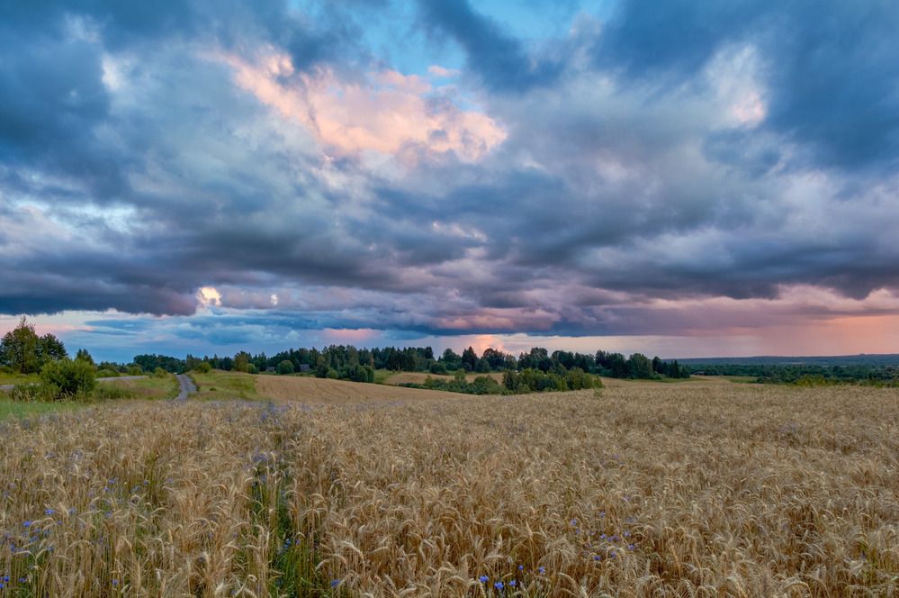Фотография автора Сергей Степанов