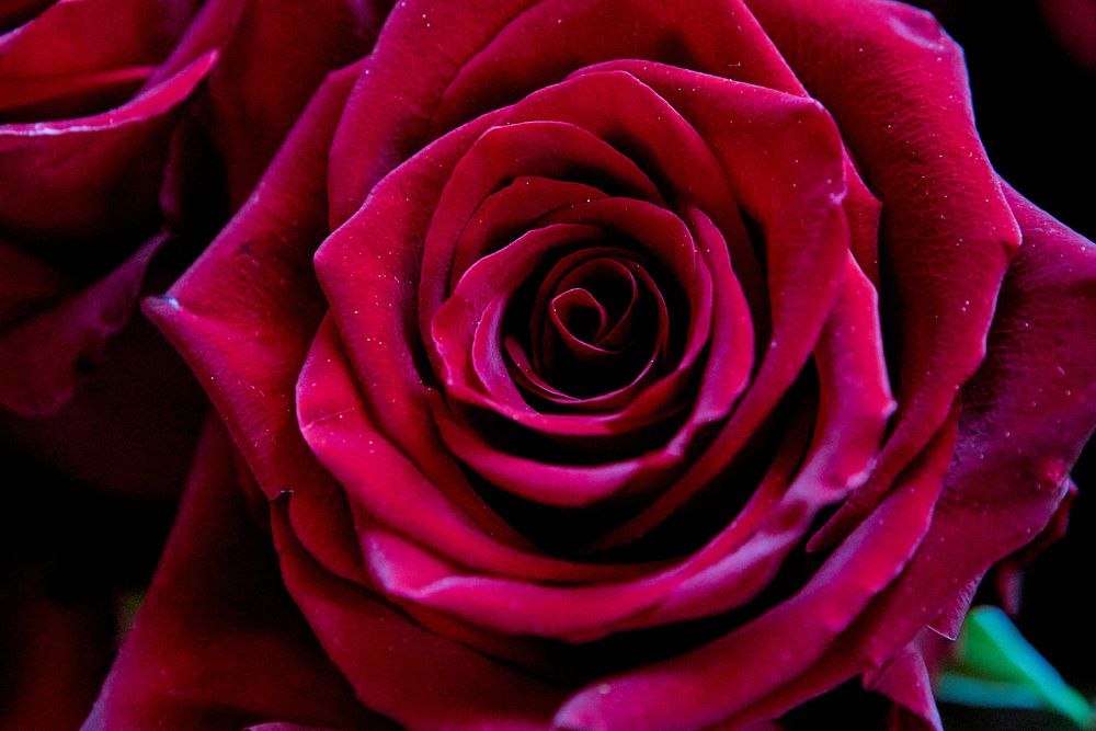 Photograph by Николай Голованов