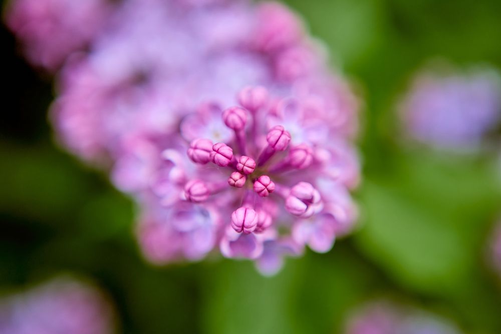 Photograph by Николай Голованов