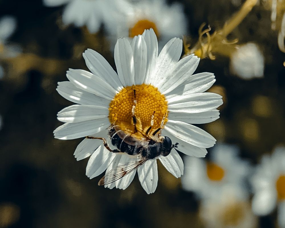 Photograph by Serg