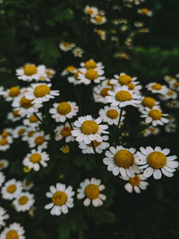 Photograph by Евгения Бородина