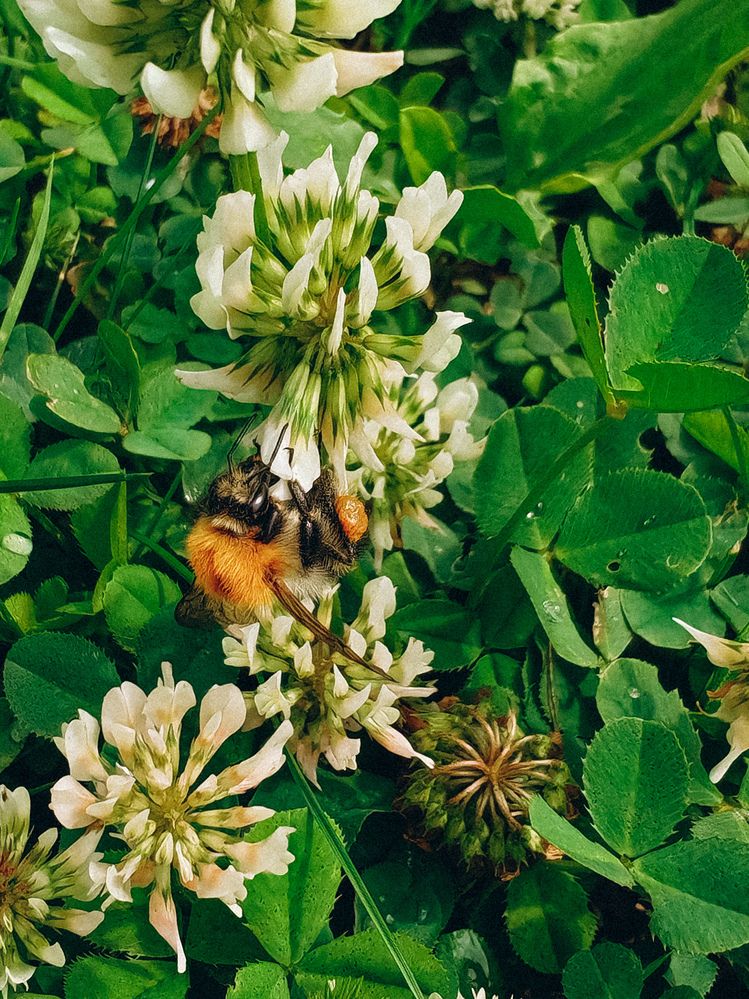 Photograph by Евгения Бородина