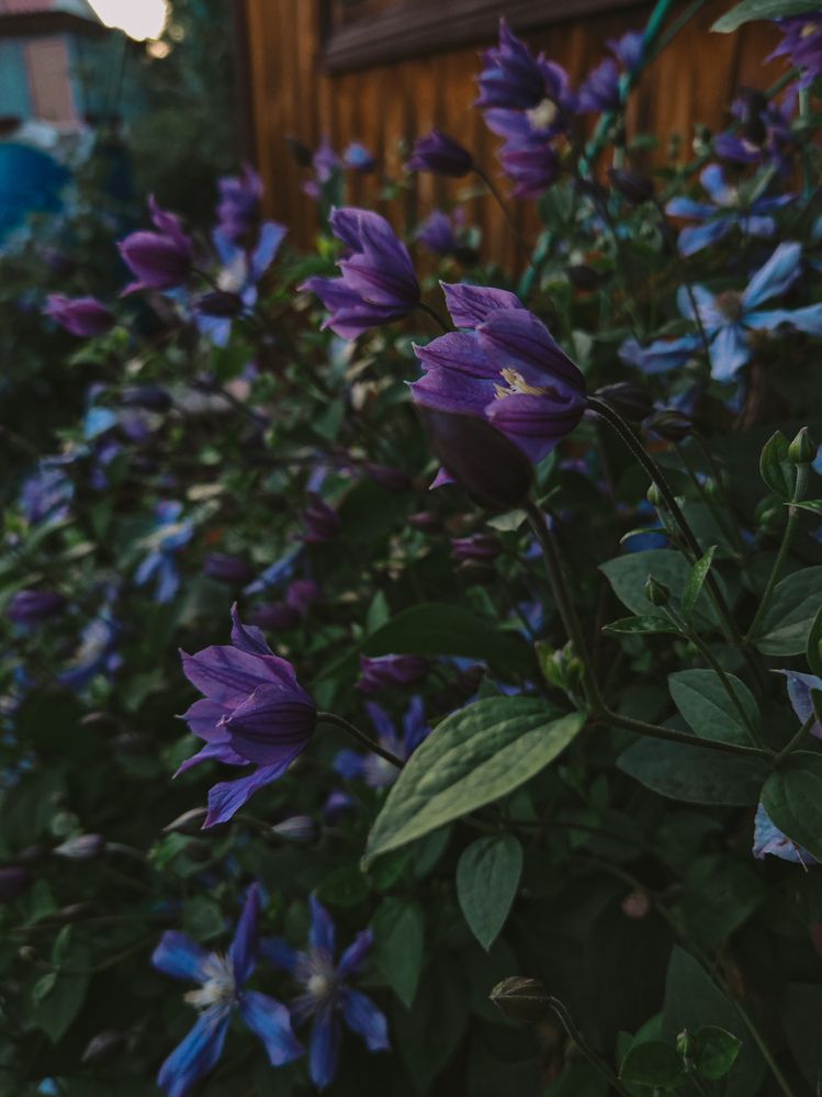 Photograph by Евгения Бородина