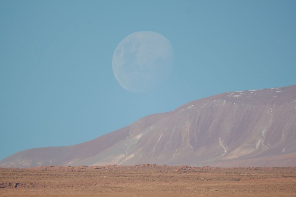 Фотография автора Paula Torrent