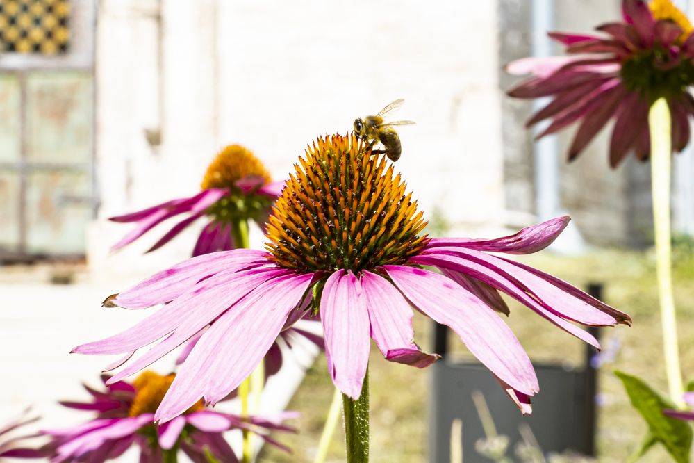 Photograph by Sergey Tsubanov