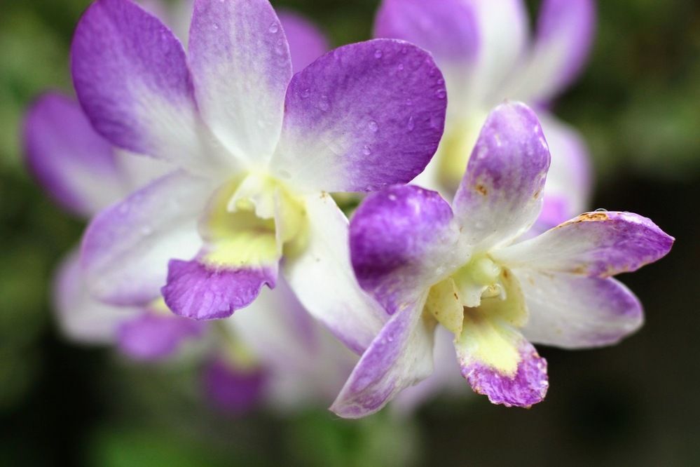 Фотография автора Jose Otero