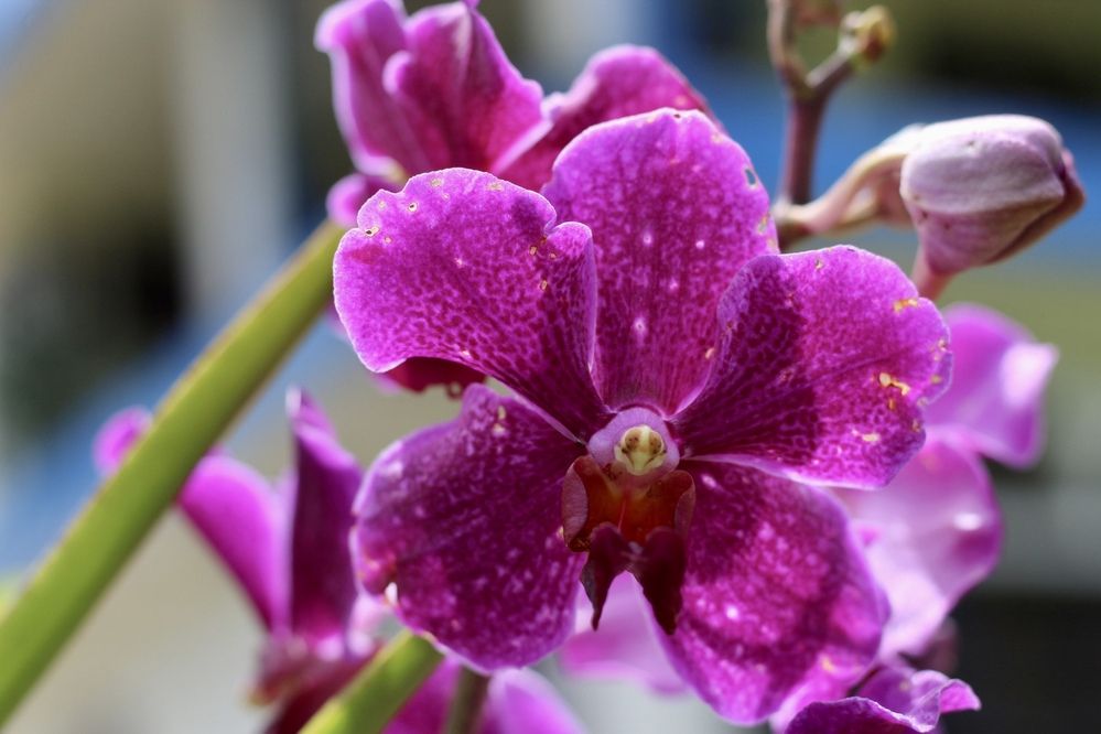 Фотография автора Jose Otero