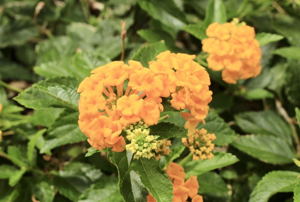 Фотография автора Jose Otero