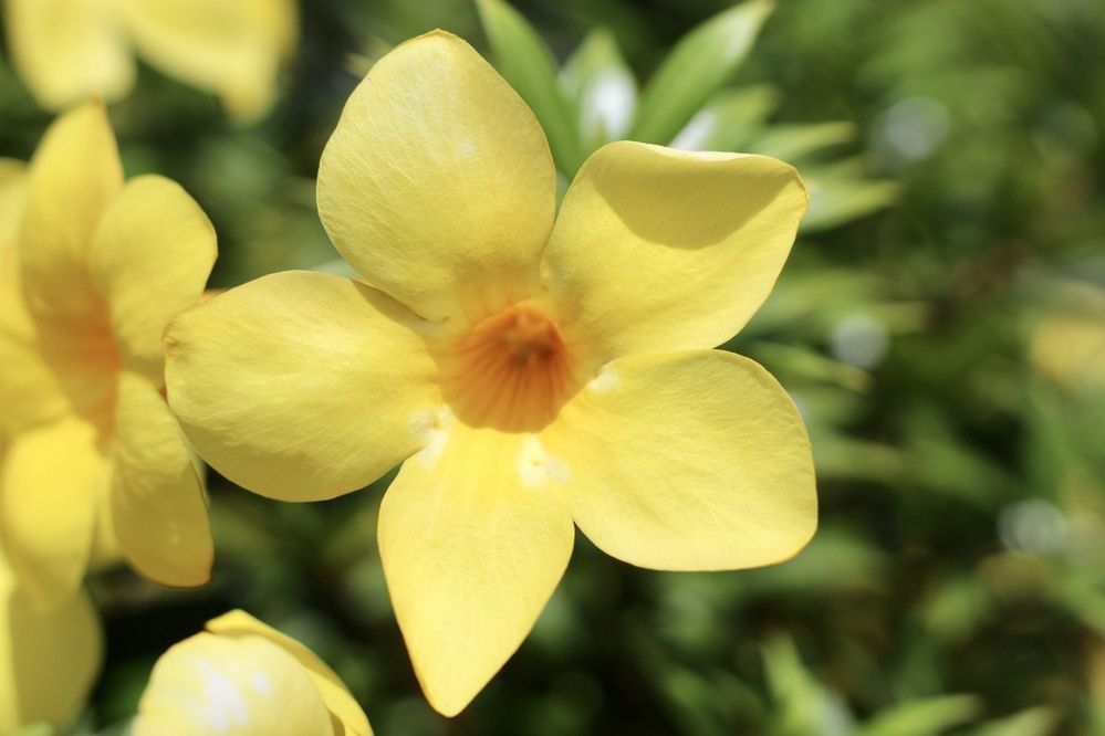 Фотография автора Jose Otero