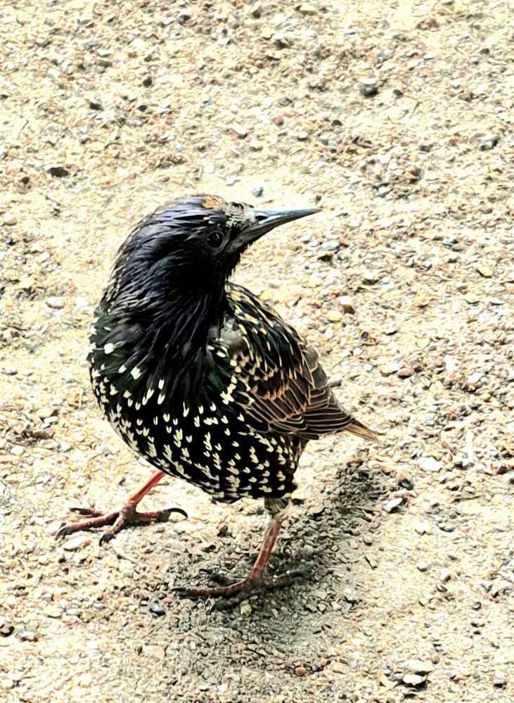 Photograph by Валентина Кузьменко