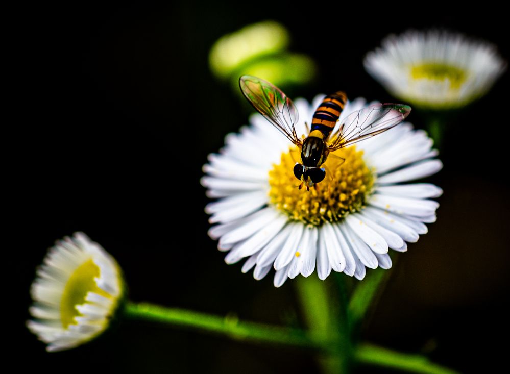 Фотография автора Mutsuaki