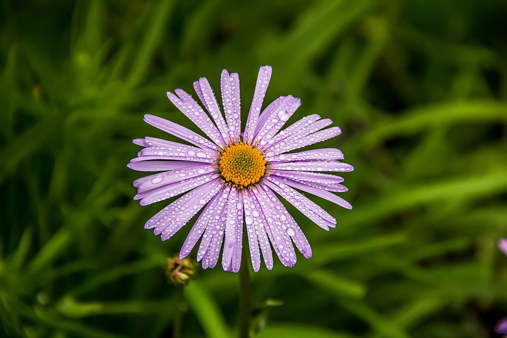 Photograph by Анатолий Чесноков