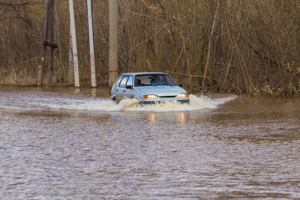 Photograph by Дмитрий Пасынков