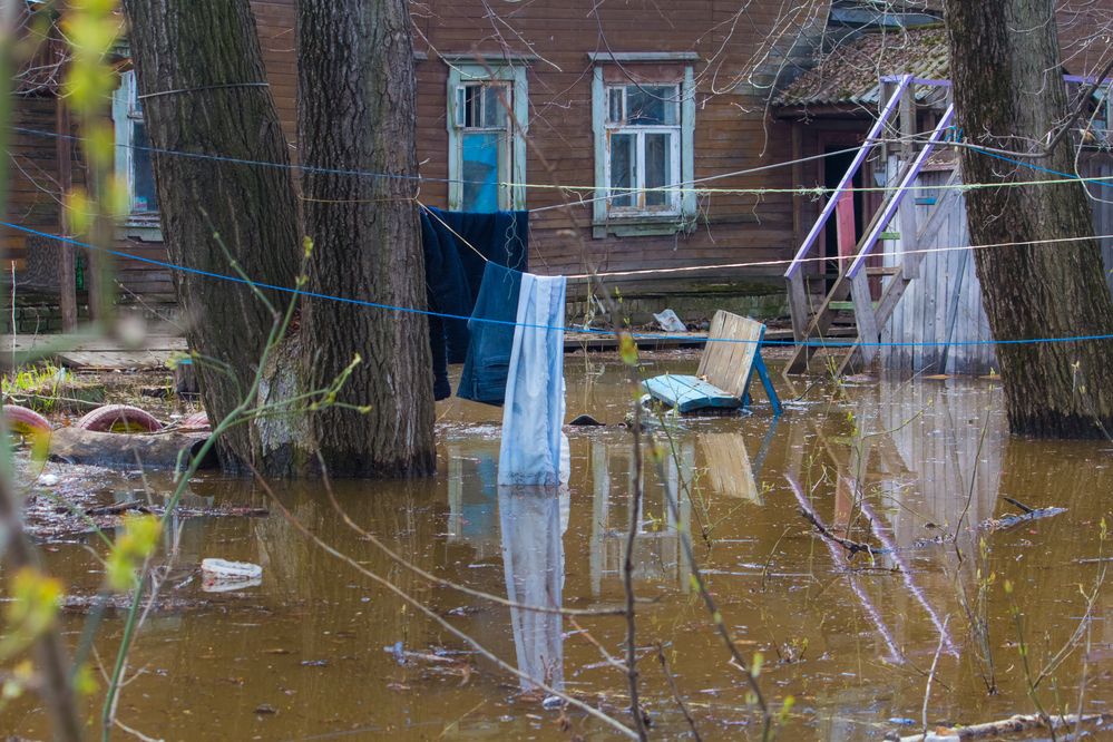 Photograph by Дмитрий Пасынков