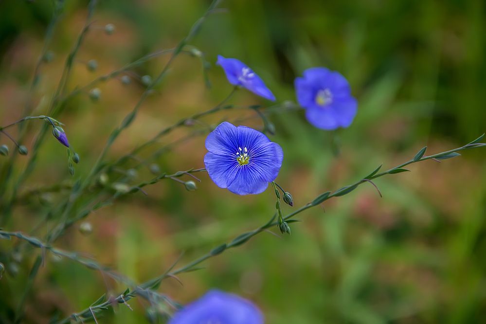 Photograph by Анатолий Чесноков