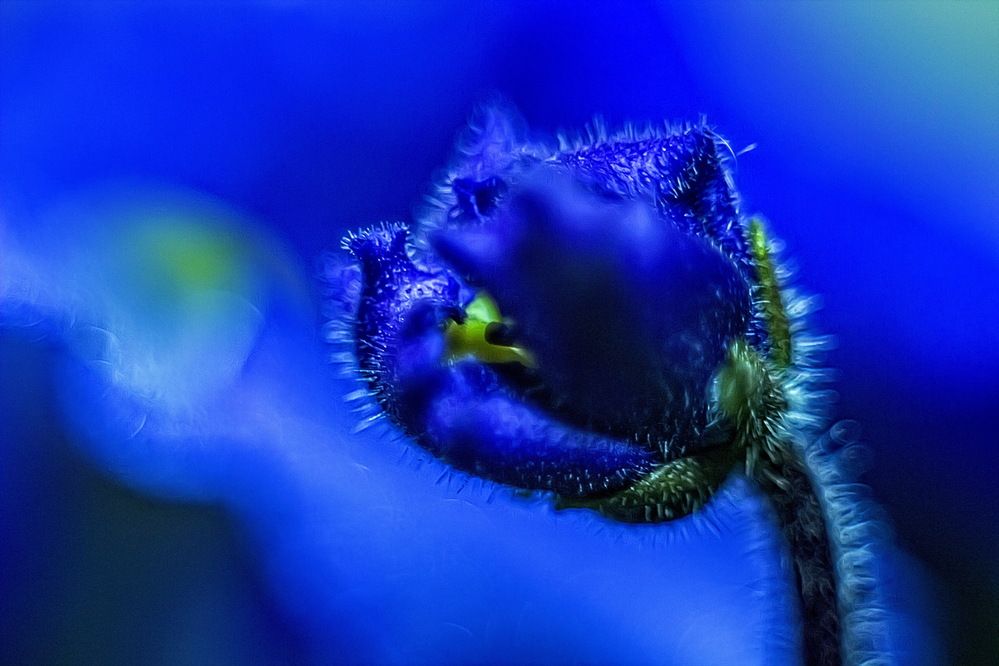 Photograph by Анатолий Чесноков