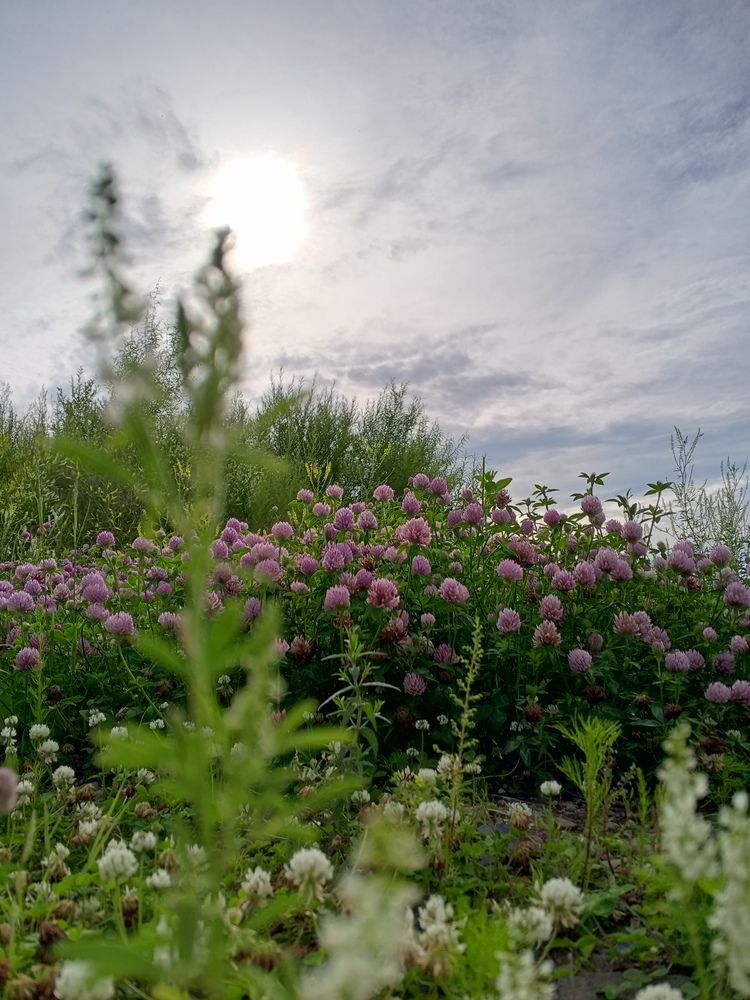 Photograph by Алëна