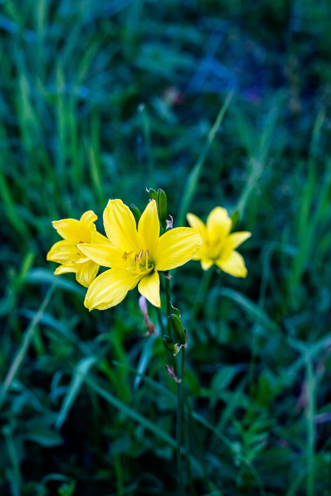 Photograph by Оксана Ланских