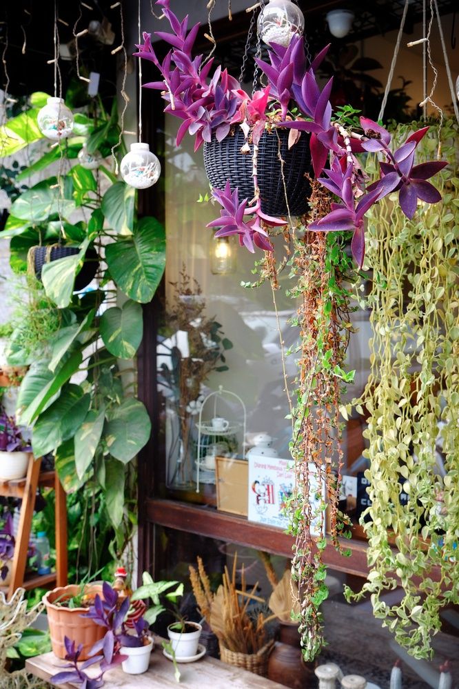 Photograph by Meilany Wijaya