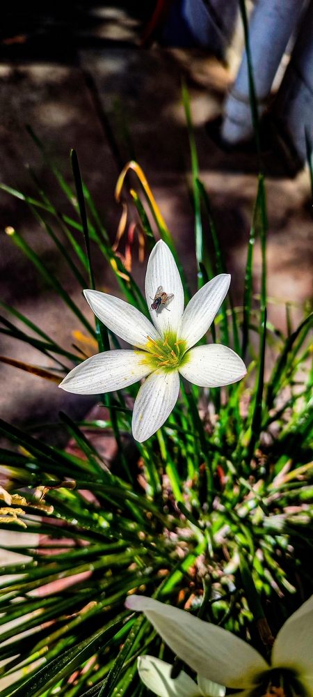 Photograph by Hassana Beegam