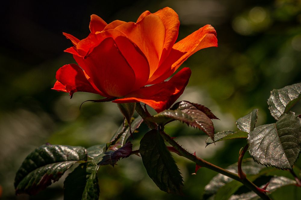 Photograph by Владислав Лопатов