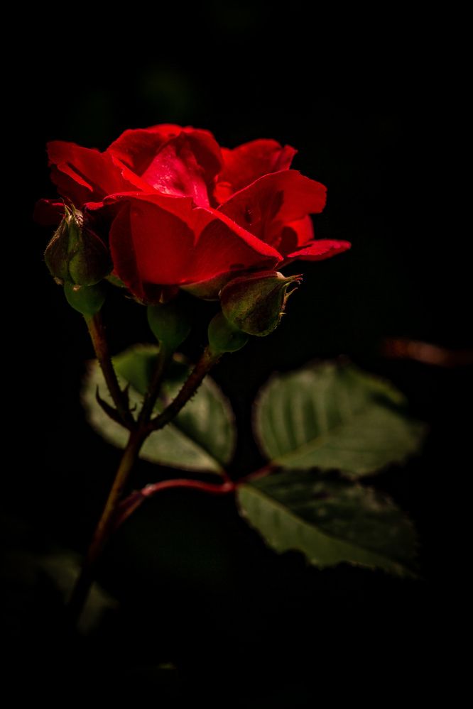 Photograph by Владислав Лопатов