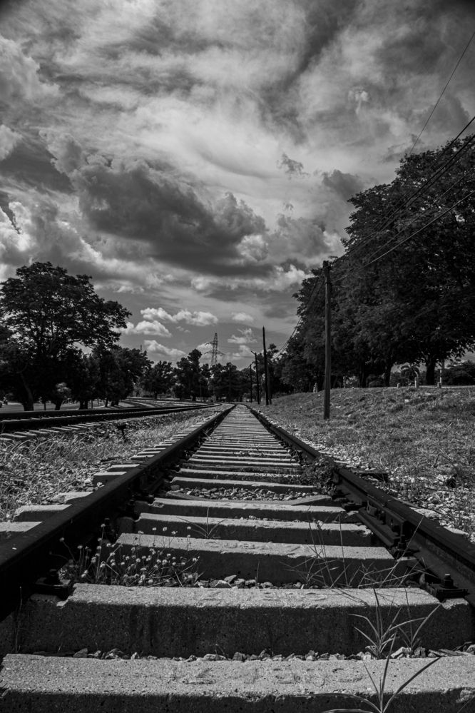 Photograph by Reinel Rodríguez Sánchez-Ossorio