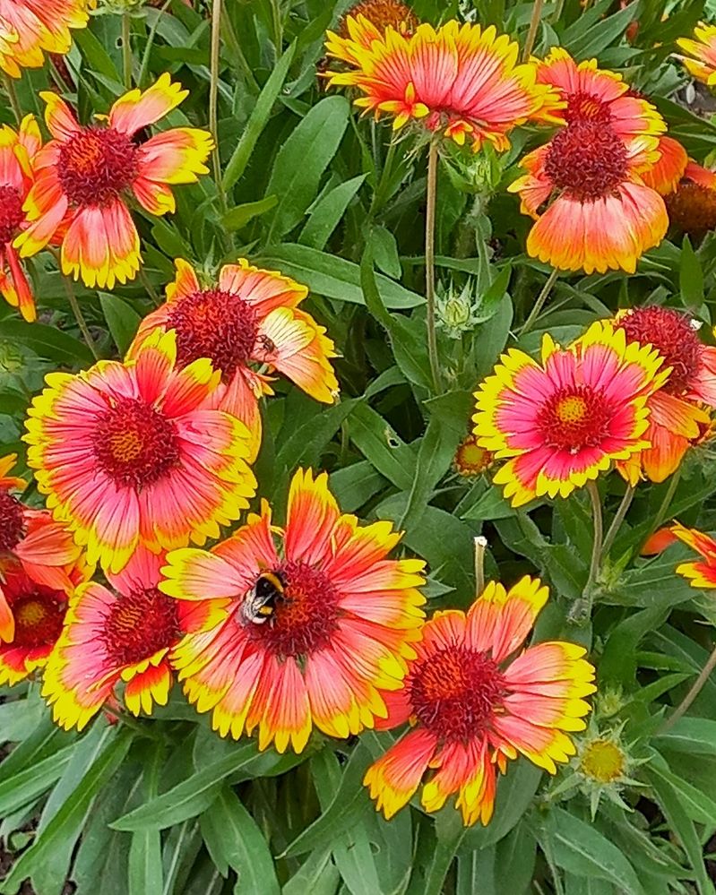 Photograph by Наталья Устюжина