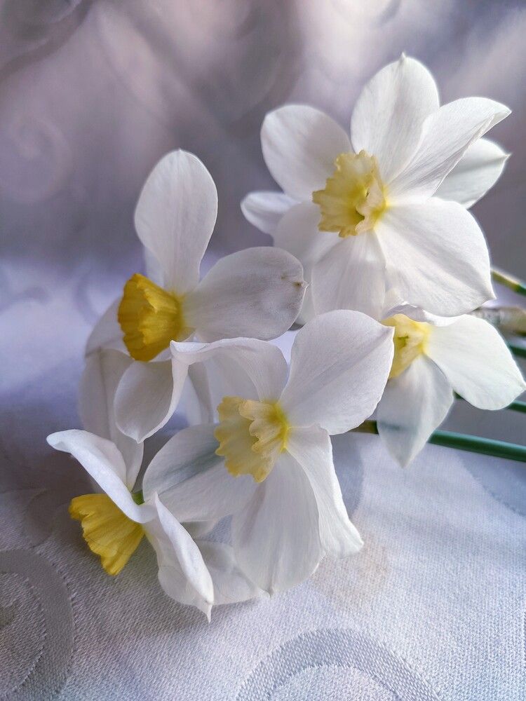 Photograph by Анна Андреевна