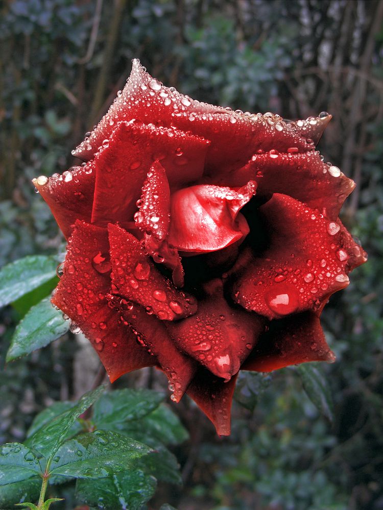 Photograph by Юрий Захаров
