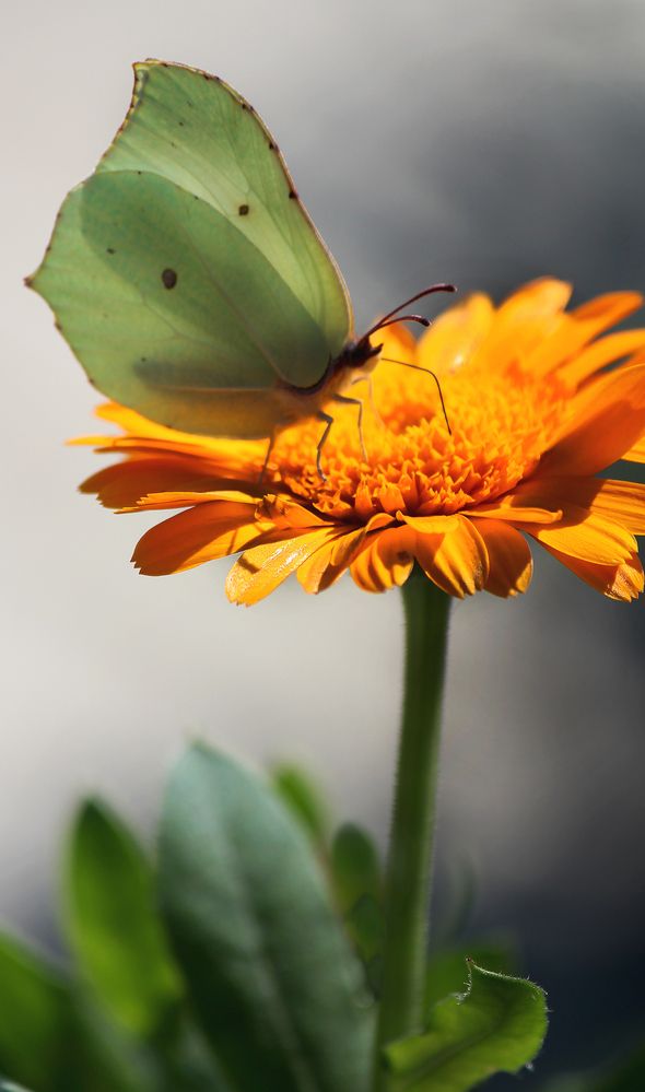 Photograph by Зоя Быкова